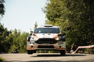 SESSANTOTTO AL VIA DEL RALLY COPPA VALTELLINA 2014