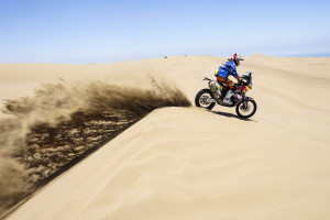 Another harvest of stage wins on the dunes of the Dakar 2015