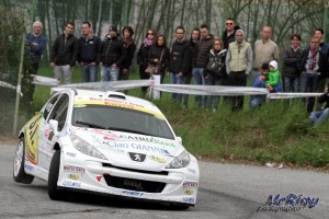 Scattato il 34° rally Valli del Bormida  Chentre – Florean (Peugeot 207 S2000) primi leader 