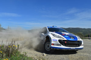 BETTEGA CARGNELUTTI rid 207S2000 copia